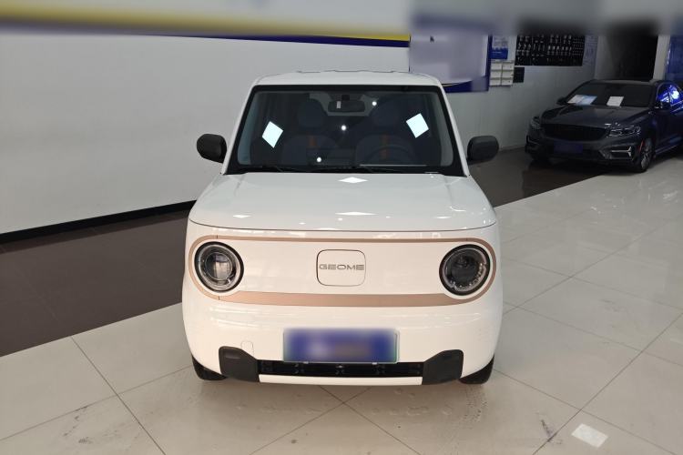 Used  Panda 2024 Panda Mini 200km Endurance Bear
