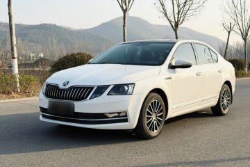 Used Skoda Octavia 2019 TSI230 DSG SmartDrive Luxury Edition China V Standard