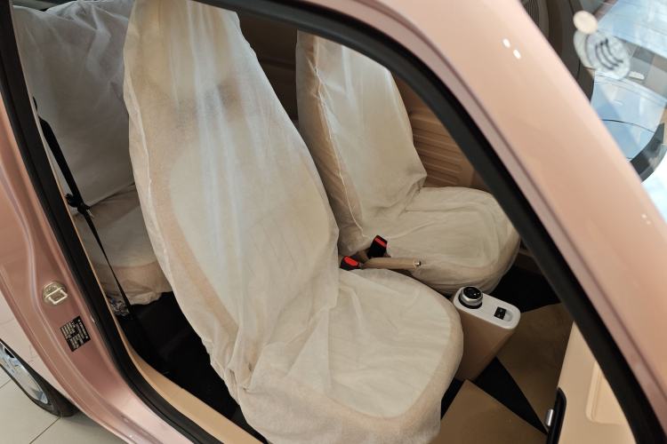 Used  Panda 2024 Panda Mini 200km Endurance Bear