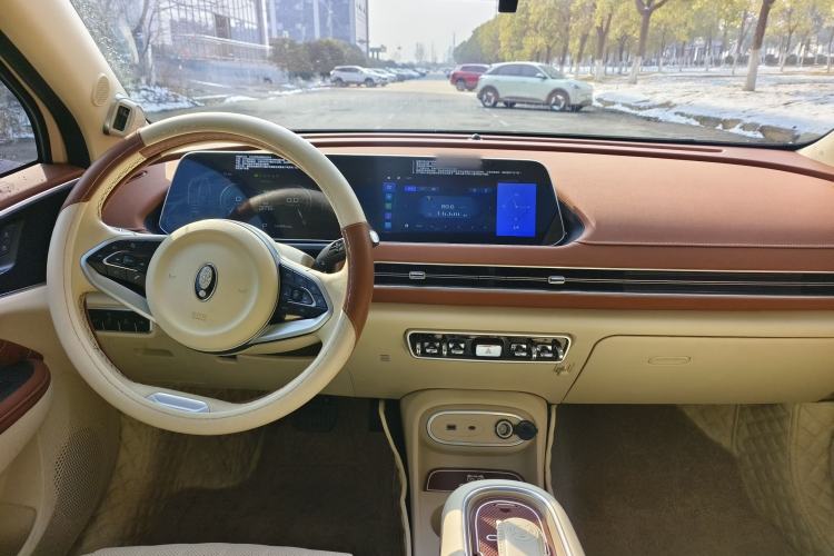 Used ORA Good Cat 2023 401 km Standard Range Prestige Version Lithium Iron Phosphate