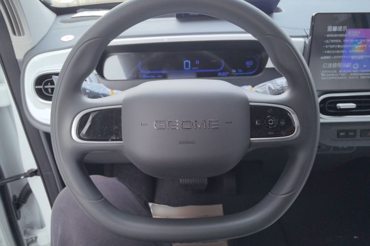 Used  Panda 2025 210 km – Yuanqi Bear