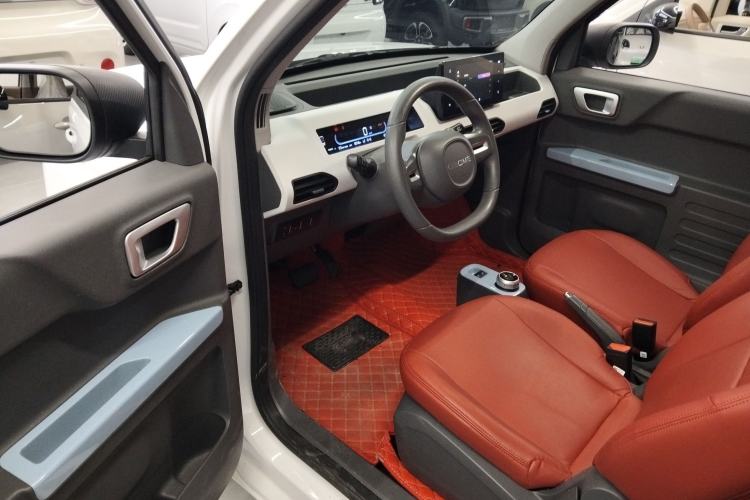 Used  Panda 2023 Panda Mini 200km Dynamic Bear
