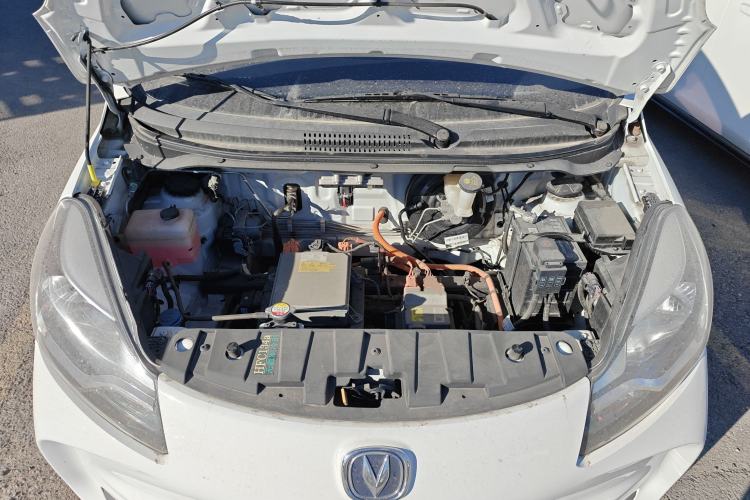 Used Oshan Benni E-Star 2021 National Edition Xin Yue Version Lithium Iron Phosphate (31.95 kWh)
