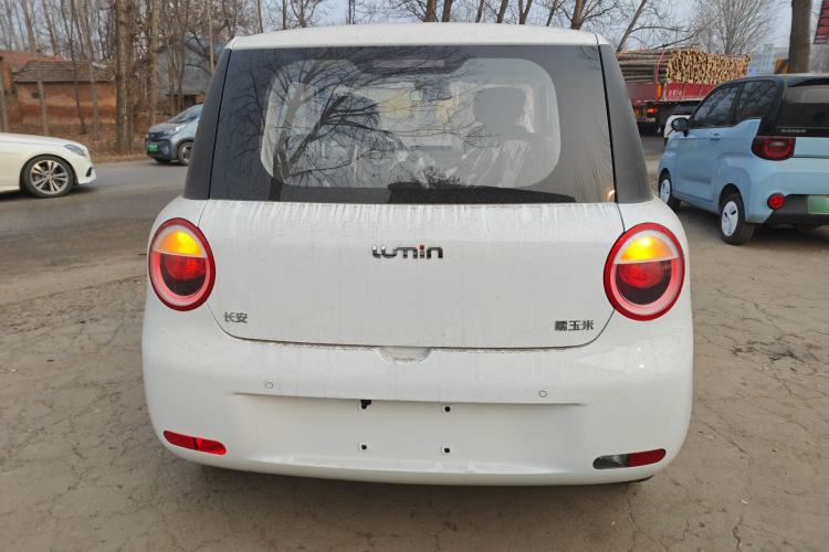 Used  Lumin 2025 205 km Xiangqin Version
