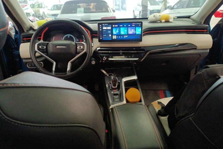 Used Haval LHERY 2021 High-Performance Version 1.5T Golden Rabbit
