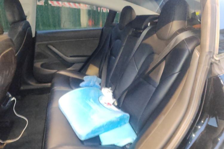 Used Tesla Model 3 (Import) 2019 Long-Range Rear-Wheel-Drive Version