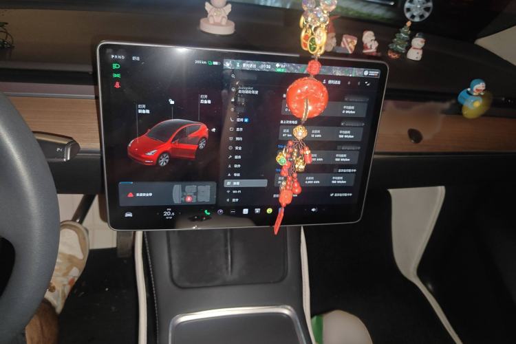 Used Tesla Model Y 2021 Standard Range Rear-Wheel Drive Version
