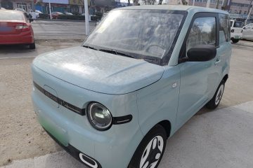 Used Geely Galaxy Panda 2025 210 km – Yuanqi Bear