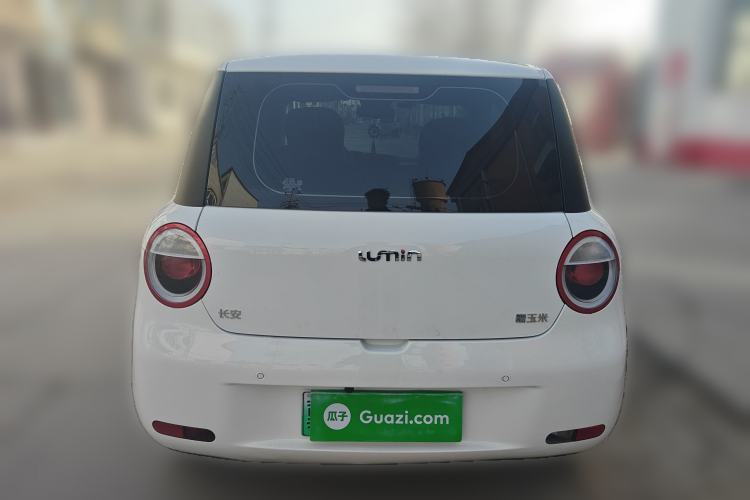 Used Qiyuan Lumin 2025 301km Honey Dew Edition