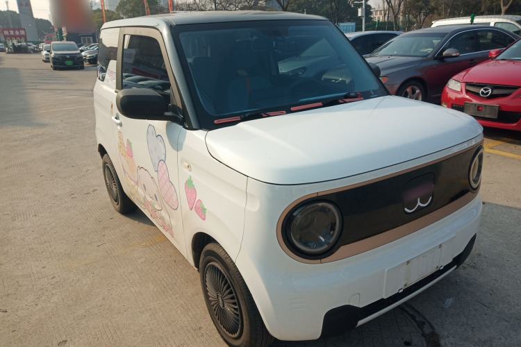 Used  Panda 2023 Panda Mini 200km Endurance Bear