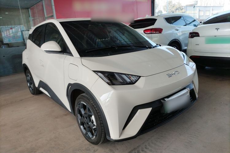 Used BYD Seagull 2025 305 km Free Version
