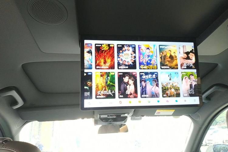 Used Li Auto L9 2022 Max model
