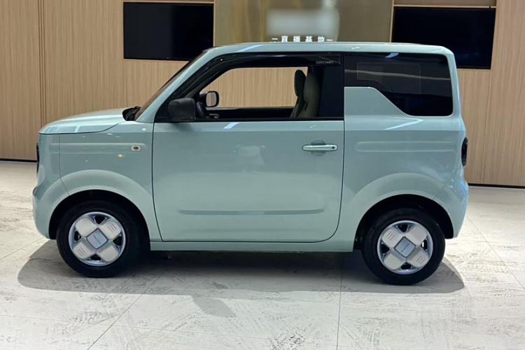 Used  Panda 2023 Panda Mini 200km Endurance Bear
