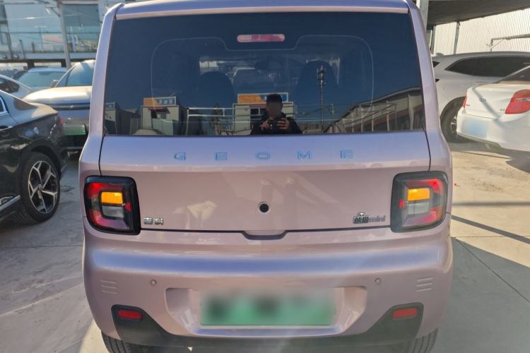 Used  Panda 2024 Panda Mini 200km Endurance Bear
