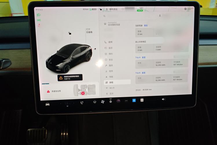 Used Tesla Model Y 2021 Standard Range Rear-Wheel Drive Version
