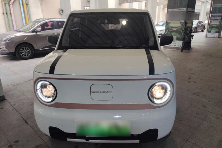 Used  Panda 2024 Panda Mini 200km Endurance Bear
