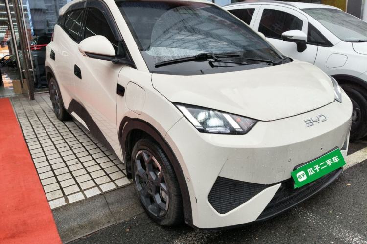 Used BYD Seagull 2025 Smart Drive Version 305 km Freedom Edition
