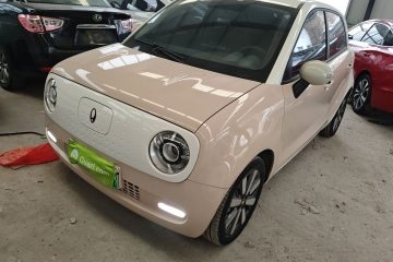 Used ORA Black Cat 2021 351 km Standard Version