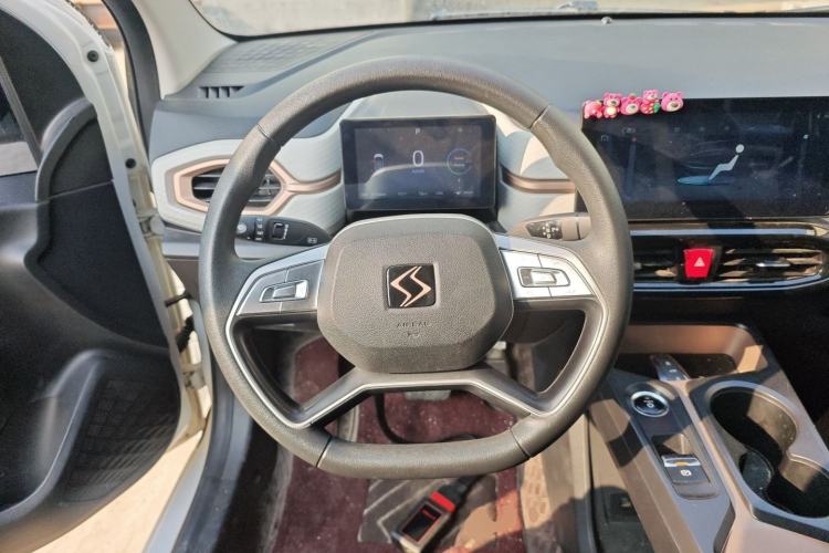 Used SOL E10X 2022 Flower Fairy Design Four-Leaf Clover