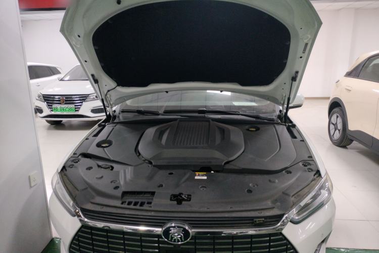 Used BYD Qin Pro New Energy 2019 EV Super Edition High-Power Long-Range Smart-Connected Cutting-Edge Model
