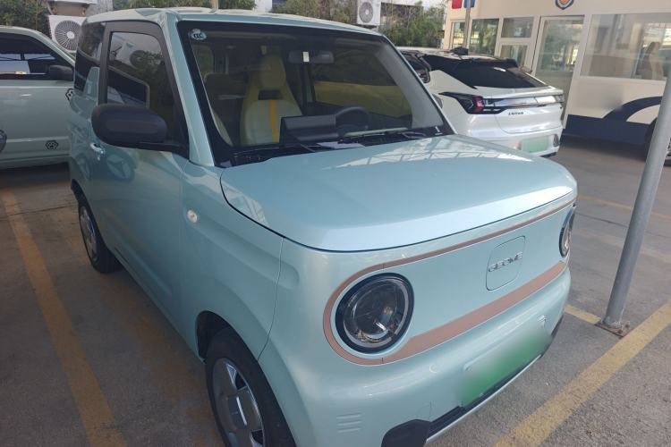 Used  Panda 2024 Panda Mini 200km Endurance Bear
