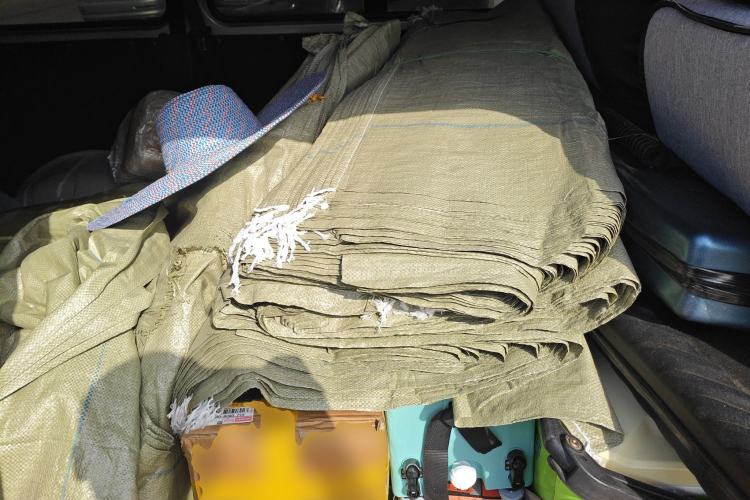 Used FORTHING Lingzhi 
