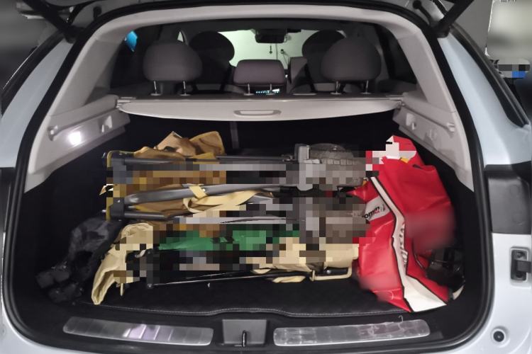 Used Leapmotor C11 2021 Luxury Edition