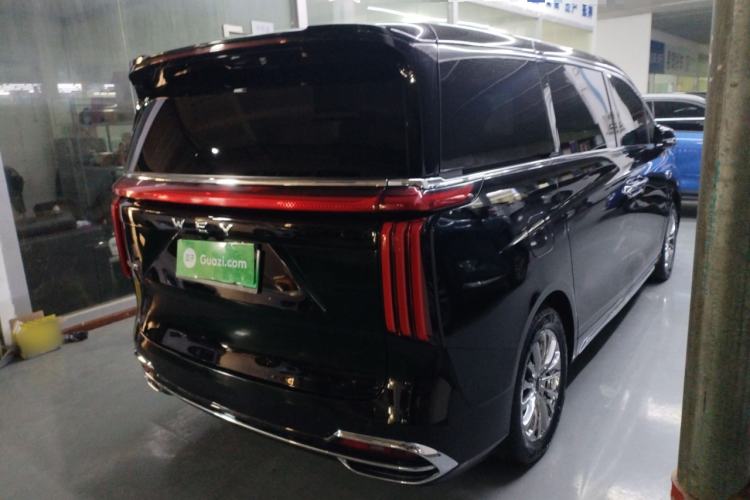 Used Wey Gaoshan 2023 Four-Wheel Drive Flagship Edition
