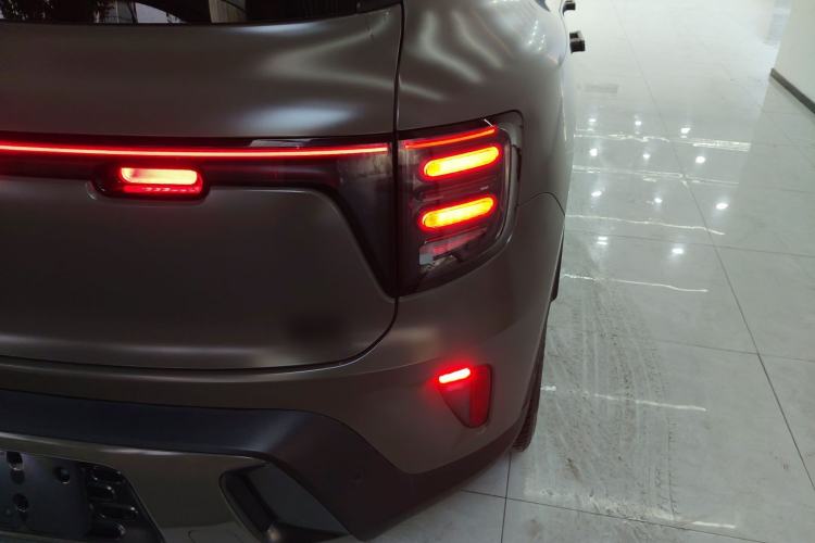 Used  #5 2024 Jungle Realm Limited Edition