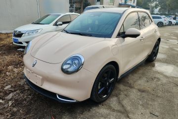 Used ORA Good Cat 2024 401 km Range Luxury Version 135 kW