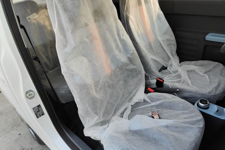 Used  Panda 2024 Panda Mini 200km Endurance Bear
