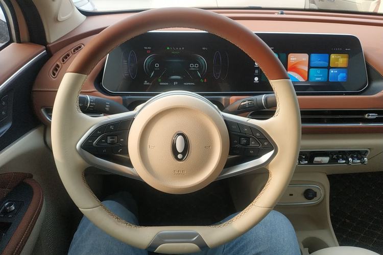 Used ORA Good Cat 2023 401 km Standard Range Luxury Version Lithium Iron Phosphate