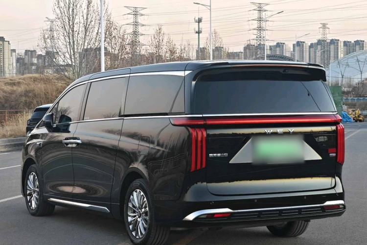 Used Wey Gaoshan 2025 Four-Wheel Drive Alpine 9
