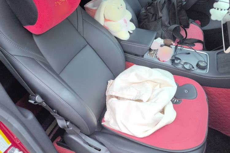 Used Tesla Model Y 2022 Revised Version Long-Range All-Wheel Drive