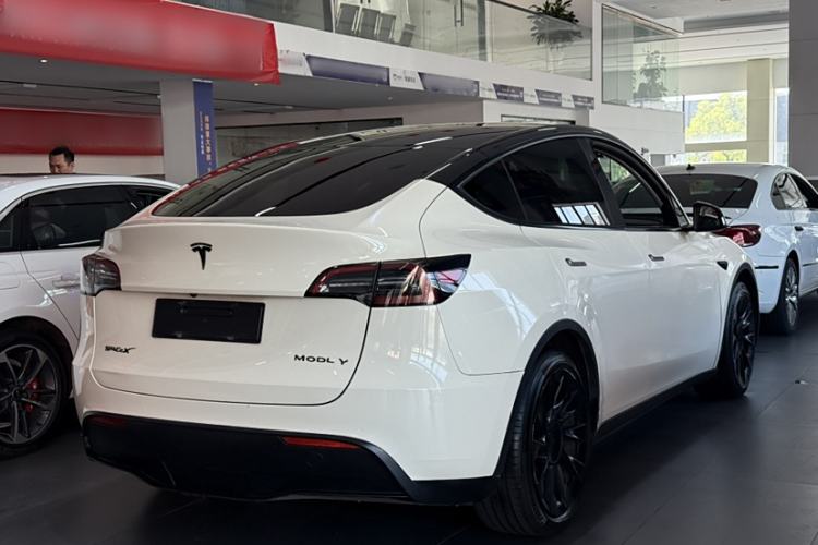 Used Tesla Model Y 2021 Standard Range Rear-Wheel Drive Version
