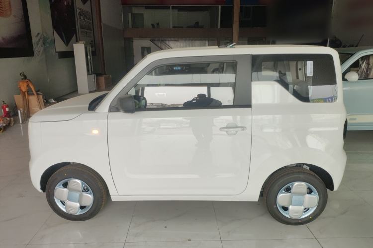 Used  Panda 2024 Panda Mini 200km Longteng PRO Edition
