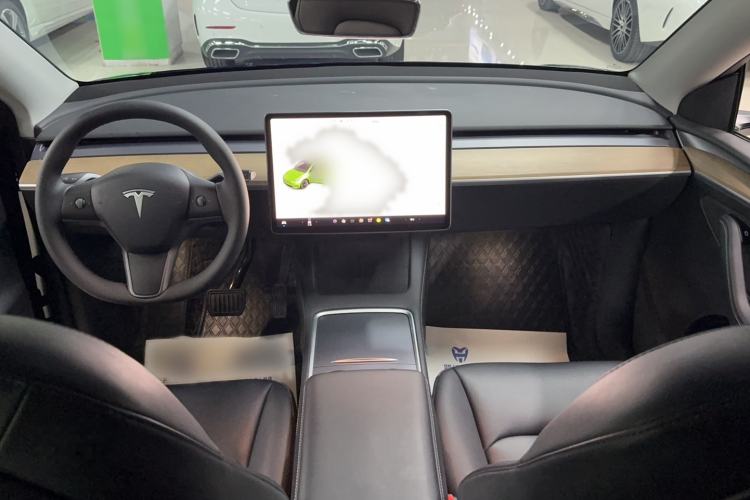 Used Tesla Model Y 2021 Standard Range Rear-Wheel Drive Version
