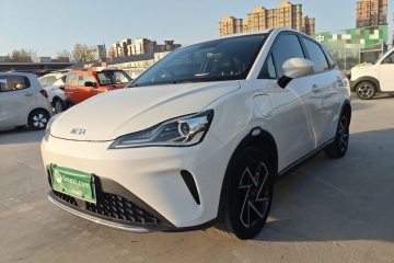 Used NETA AYA 2023 401 Lite