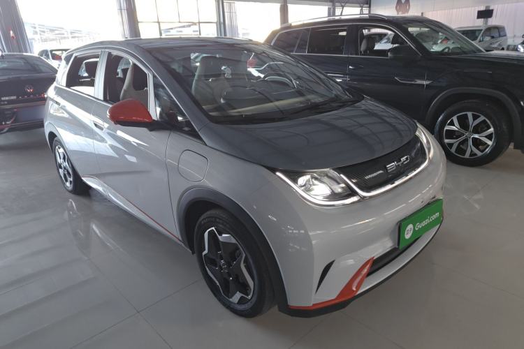 Used BYD Dolphin 2021 405 km Fashion Edition
