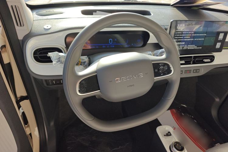 Used  Panda 2025 210 km – Yuanqi Bear