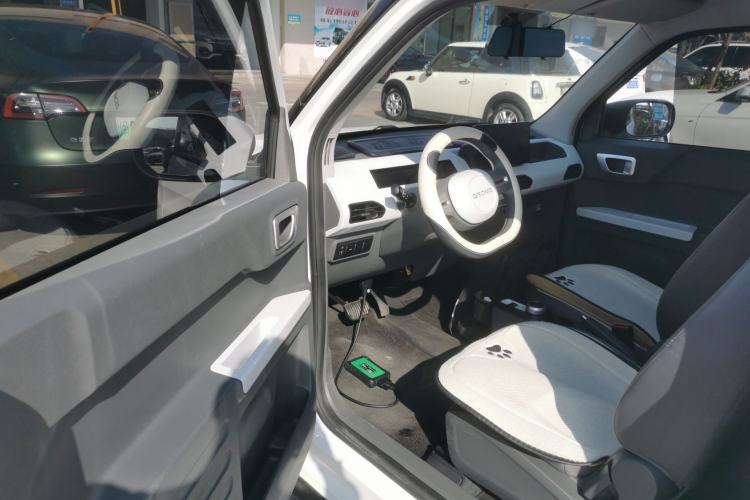 Used  Panda 2024 200km Panda Kart
