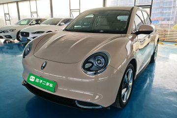 Used ORA Good Cat 2023 401 km Standard Range Luxury Version Lithium Iron Phosphate