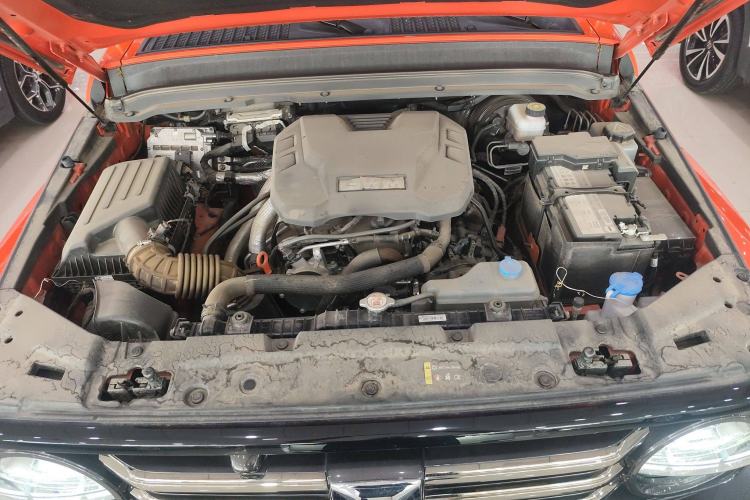 Used Tank 300 2024 2.0T Crosser
