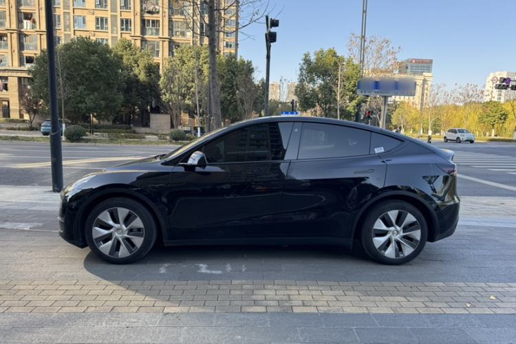 Used Tesla Model Y 2021 Standard Range Rear-Wheel Drive Version
