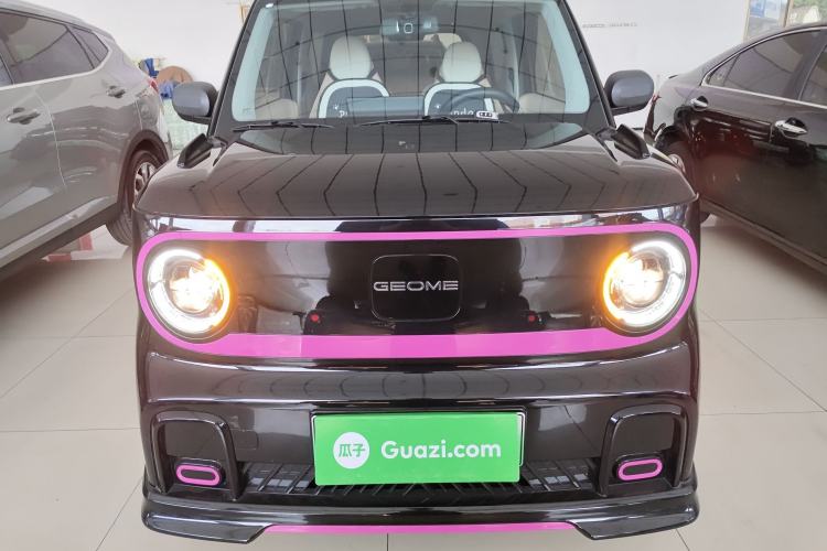 Used  Panda 2024 200km Panda Kart
