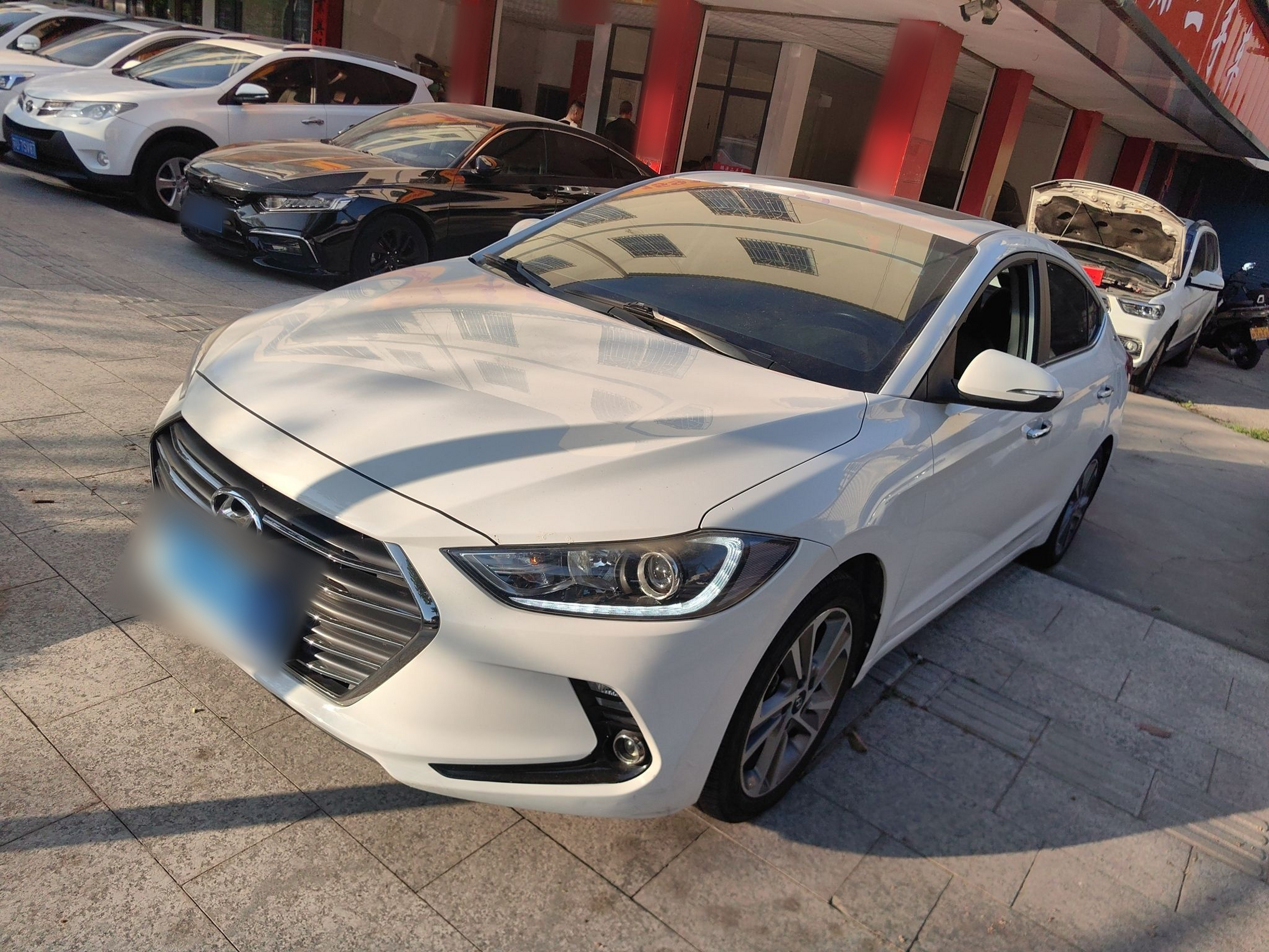 تحت مقدمة السيارة