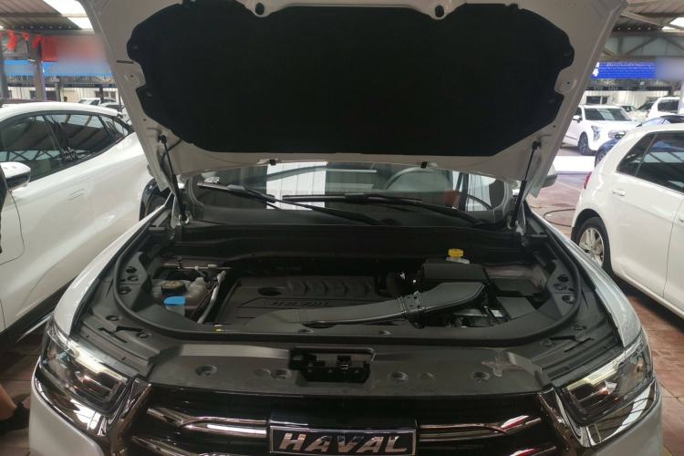 Used Haval H6 2021 National Trend Edition 1.5T Automatic Urban Version
