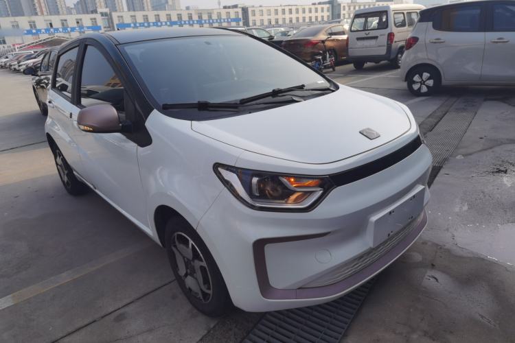 Used SOL E10X 2022 Flower Fairy Design Four-Leaf Clover
