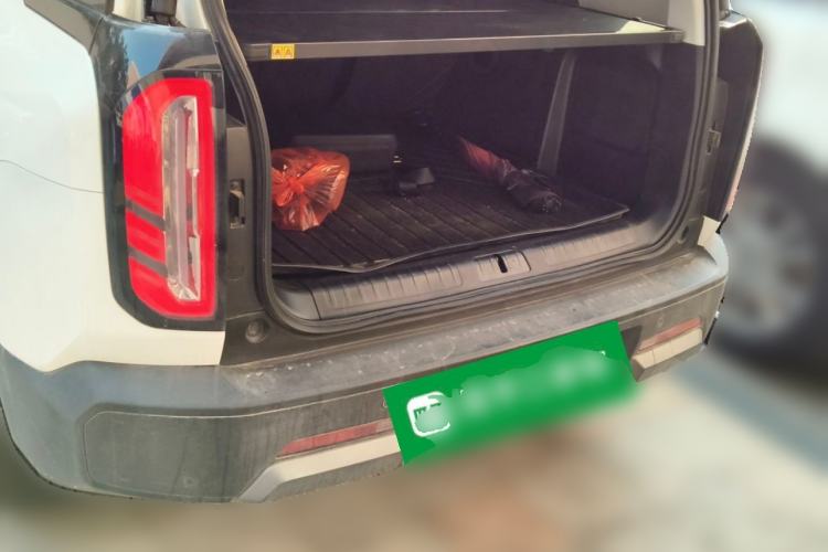 Used  BJ30 2024 1.5T Magic Electric Drive Advanced Version