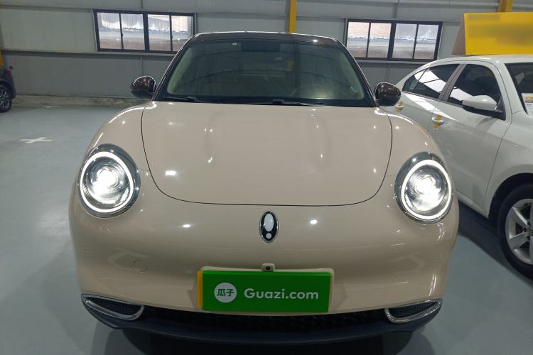 Used ORA Good Cat 2022 400km Standard Range Premium Version Lithium-Ion Battery
